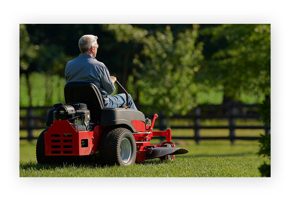 Briggs & stratton lawn mower online motor